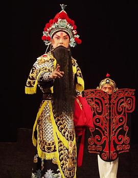 中国p站《袁崇焕2009》免费在线观看