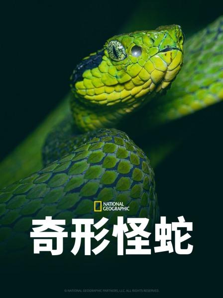 中国p站《奇形怪蛇》免费在线观看