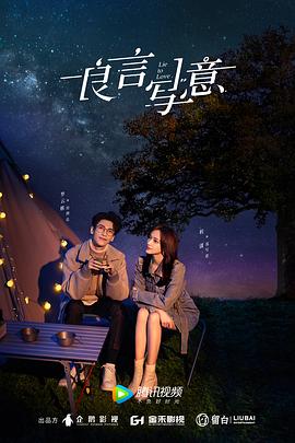 中国p站《良言写意》免费在线观看